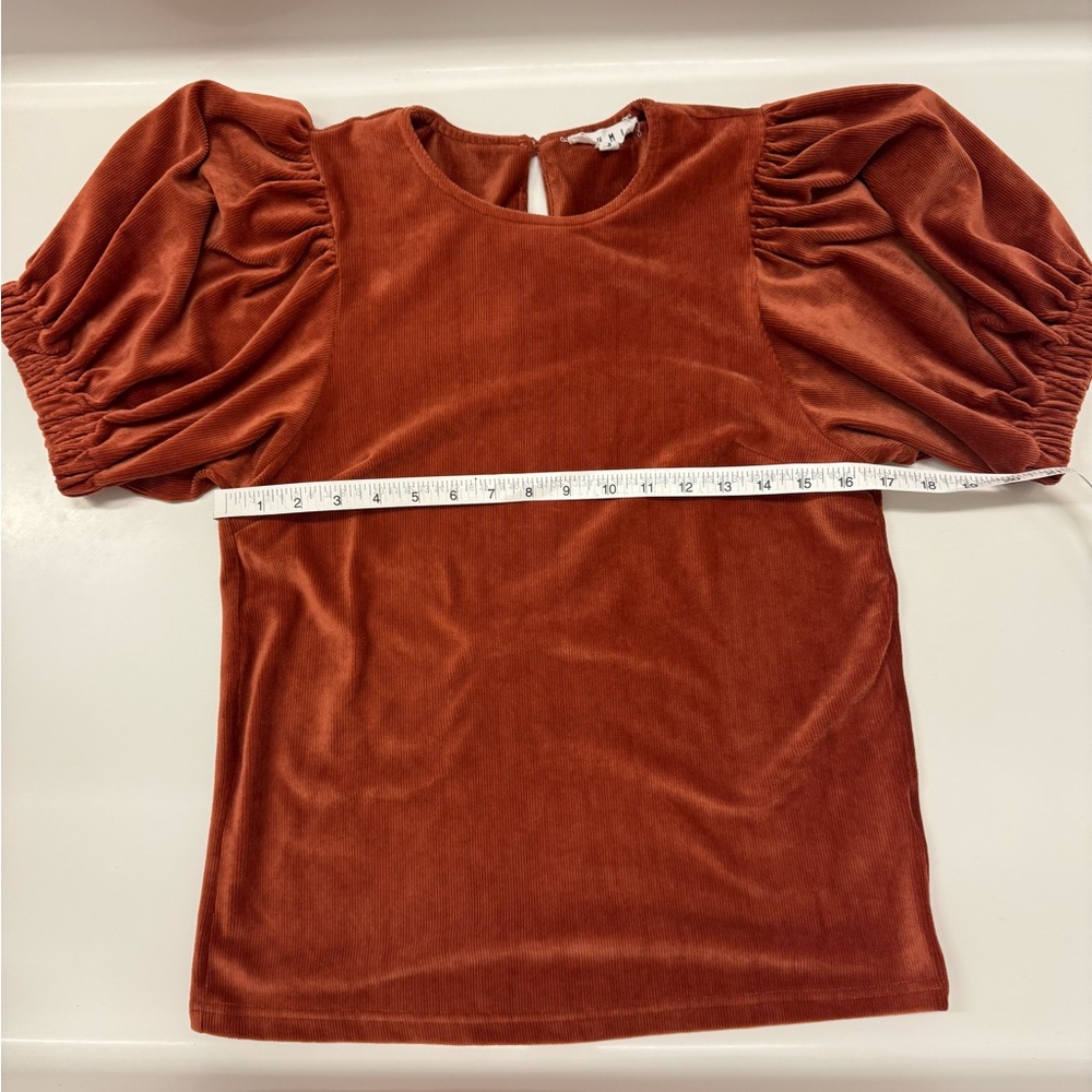 THML Rust Puff Sleeve Velvet Top – Size S - Picture 3 of 6